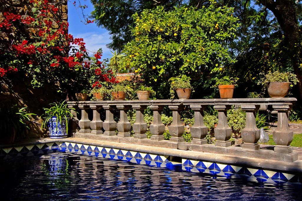 Casa Schuck Boutique Hotel Альенде Номер фото